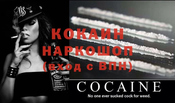 сатива Белокуриха