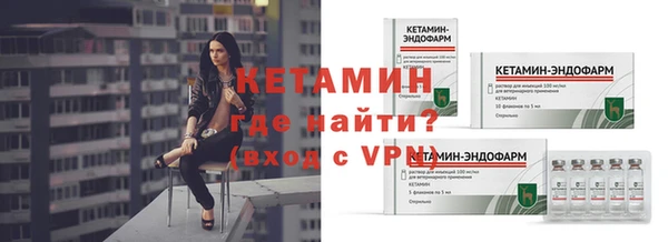 сатива Белокуриха