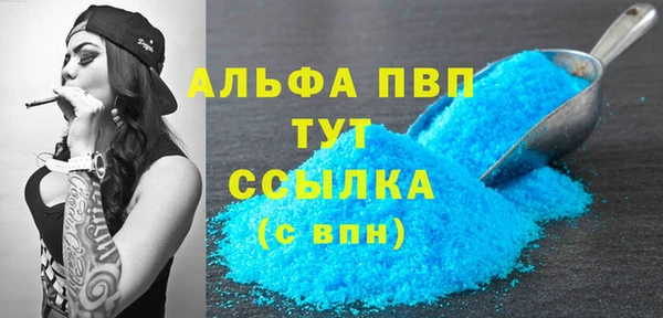 сатива Белокуриха