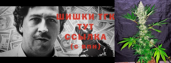 сатива Белокуриха