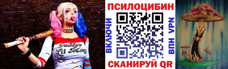 как найти   Назарово  Псилоцибиновые грибы MAGIC MUSHROOMS 